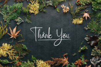 ellyshabeth | signature script font