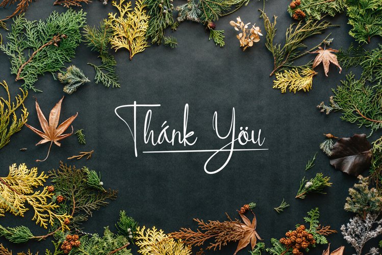 ellyshabeth | signature script font