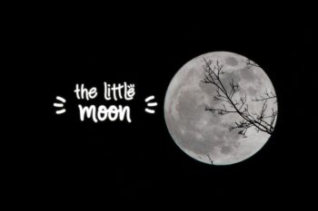 kebo handwritten style