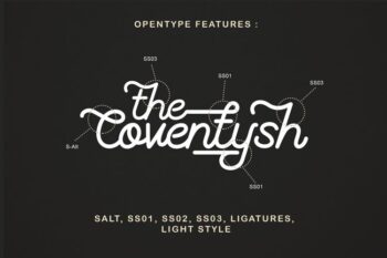 the coventysh monoline script font