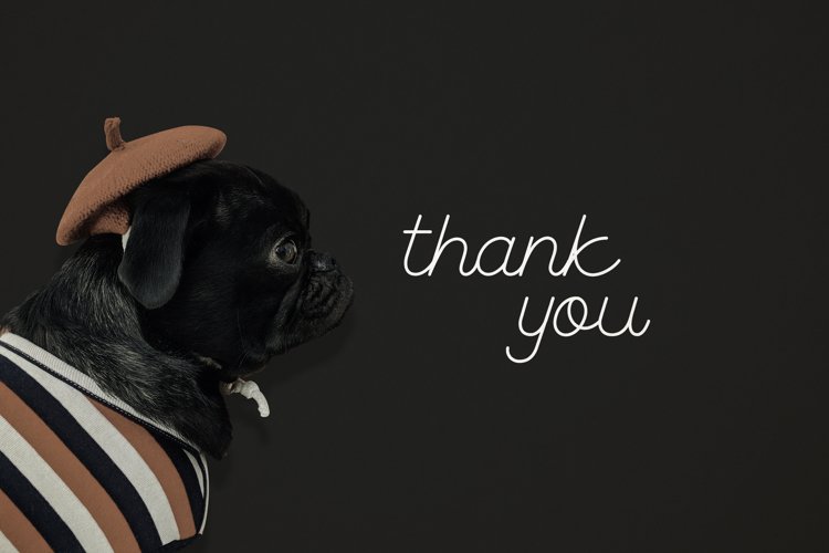 the coventysh monoline script font