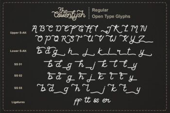 the coventysh monoline script font
