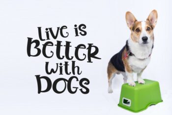 bread story fun quirky font