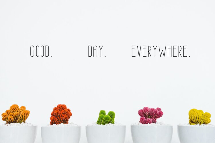 green home sans serif font