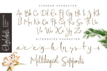 ellyshabeth | signature script font