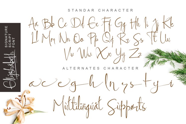 ellyshabeth | signature script font