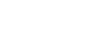 diosiart logo