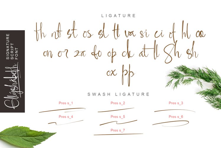ellyshabeth | signature script font