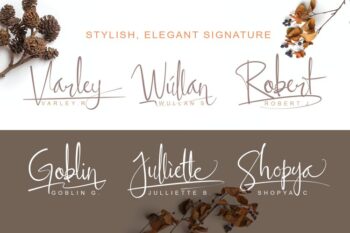 ellyshabeth | signature script font
