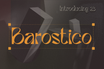 barostico display