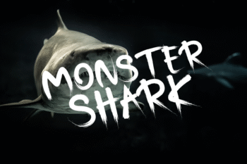 brushely spooky font