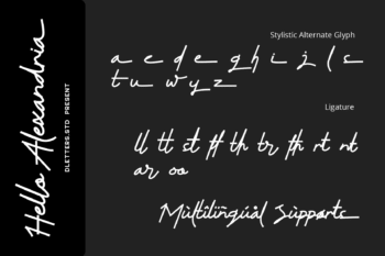 hello alexandria – modern handwritten