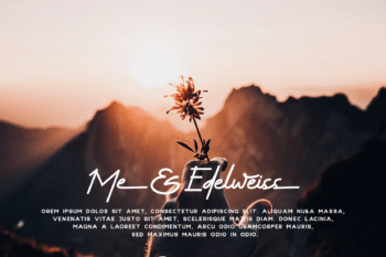 hello alexandria – modern handwritten