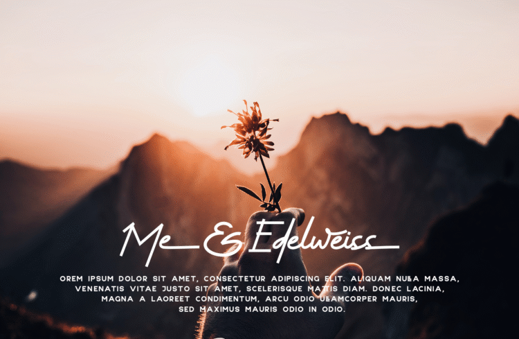 hello alexandria – modern handwritten