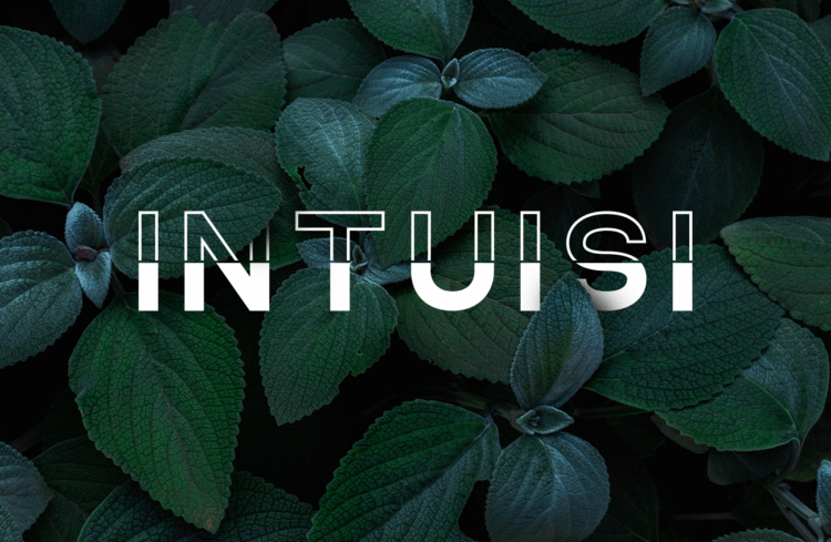 nonlocal modern sans serif