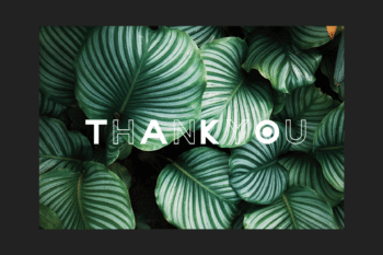 nonlocal modern sans serif