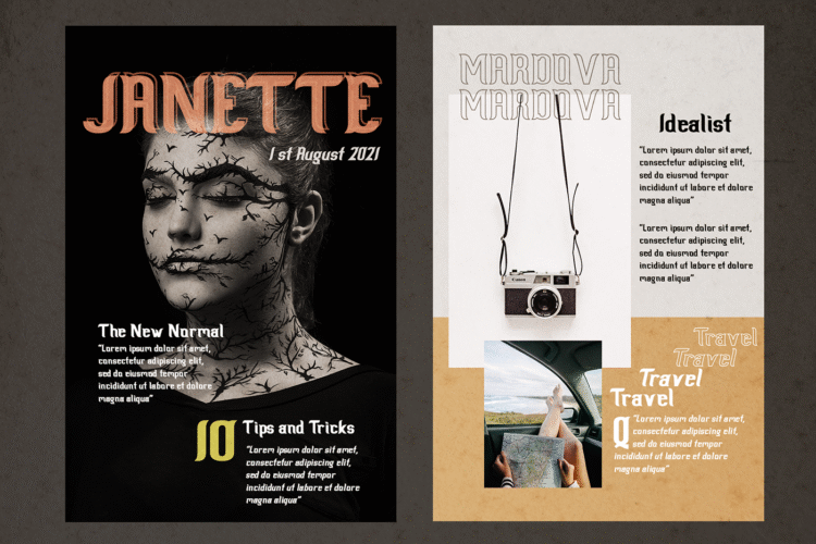 scientist castle family slab serif font