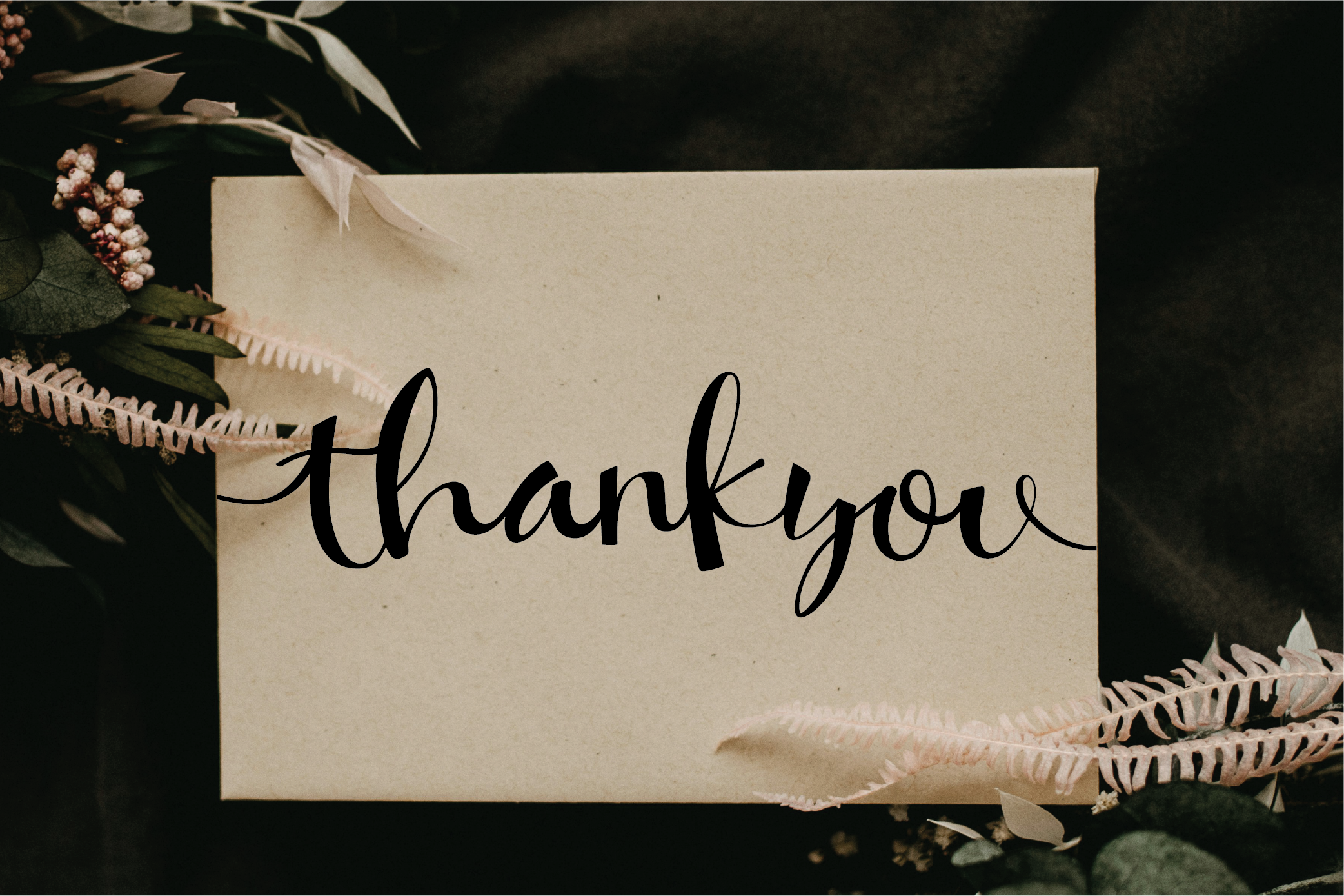 twisty squosh | happy script font